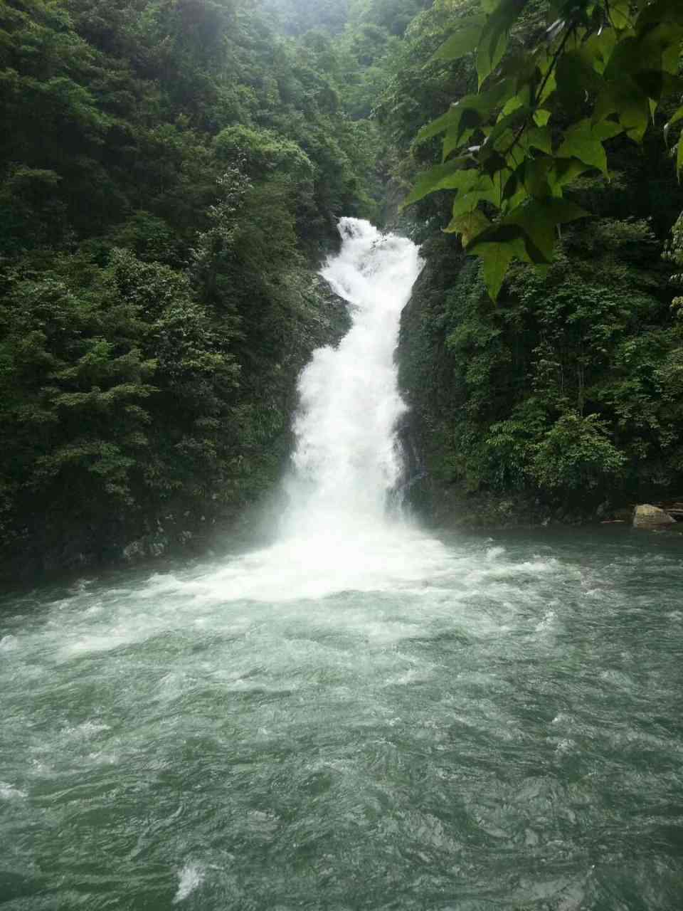 1597286364236501.jpg 20190710084295219521.jpg