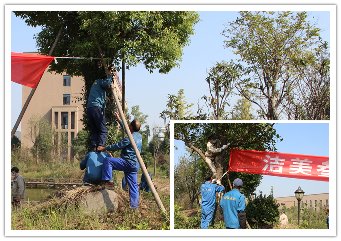 1597290903189983.png 20161105222230253025.png