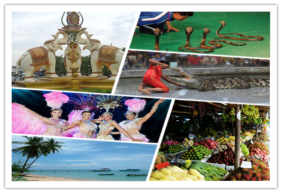 1597299393885375.png 20150609141589758975.png