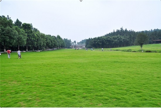 1597301011987422.jpg 安吉游11.jpg