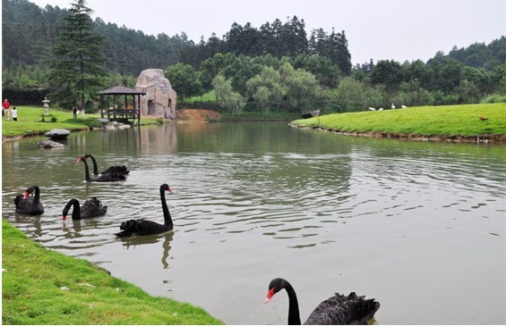 1597301017100726.jpg 安吉游12.jpg