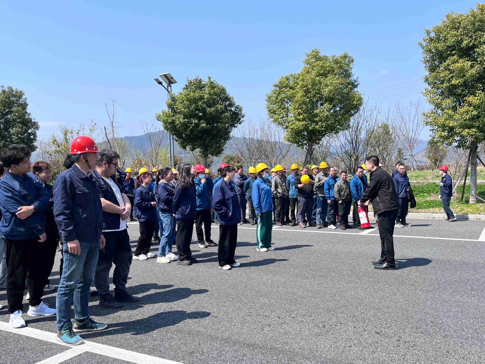 1711096962294204.jpg 11(1).jpg