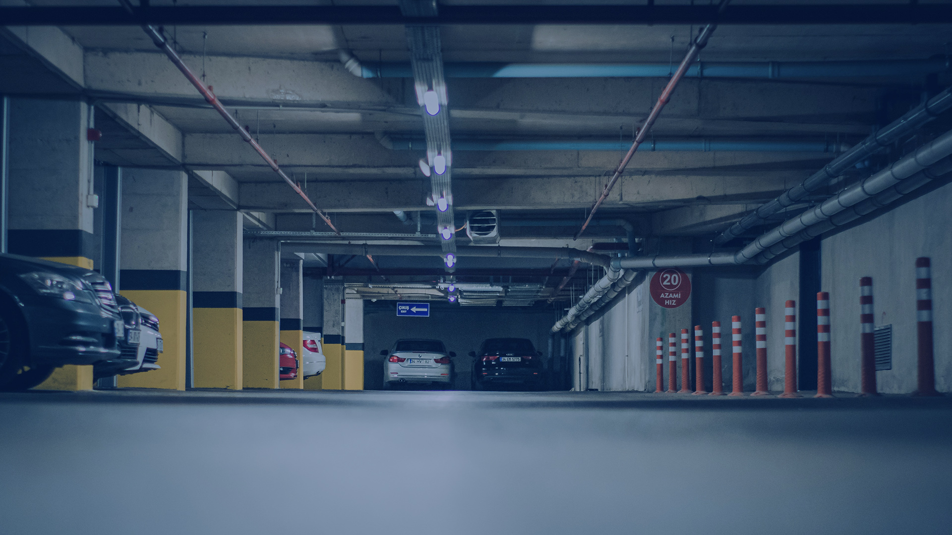 美女被吸乳羞羞白丝69xx